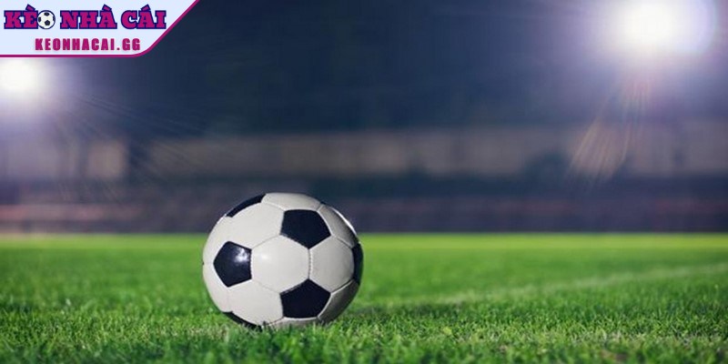 Thông tin tổng quan về bẫy nhà cái thường gặp