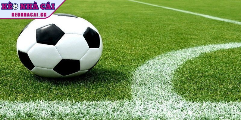 Hướng dẫn các cách né kèo dụ hiệu quả nhất