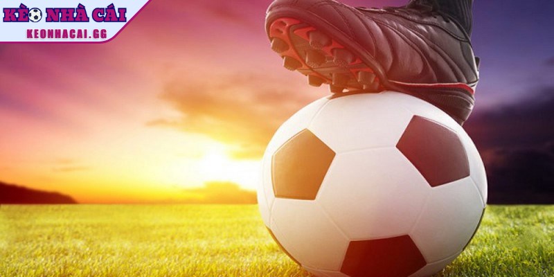 Tìm hiểu định nghĩa về kèo dụ trong cá cược bóng đá