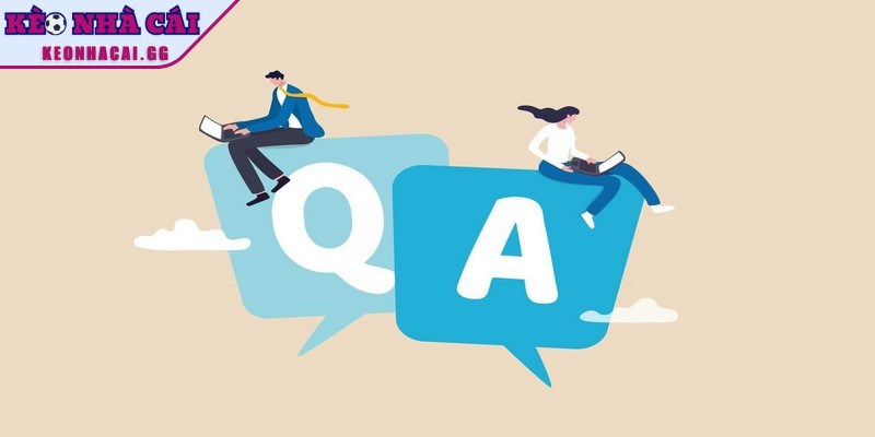 Câu hỏi thường gặp luôn thu hút sự chú ý của người dùng web