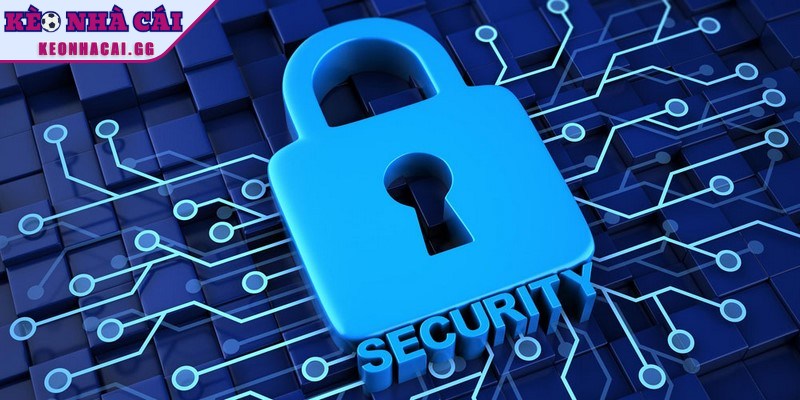 Quy trình thu thập thông tin từ website nghiêm ngặt và chuẩn xác