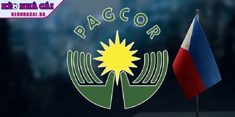 Giấy phép hoạt động web thể thao từ PAGCOR minh bạch hàng đầu