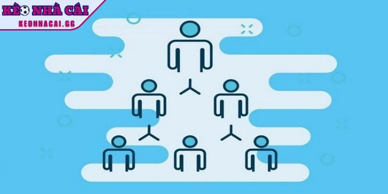 Cấu trúc điều hành ở cấp cao nhất có nhiệm vụ quan trọng