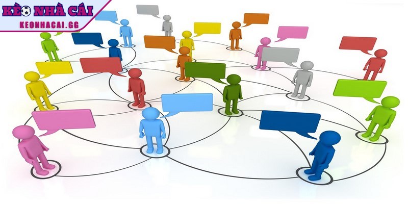 Cơ cấu tổ chức được áp dụng nhằm tăng cường hiệu suất