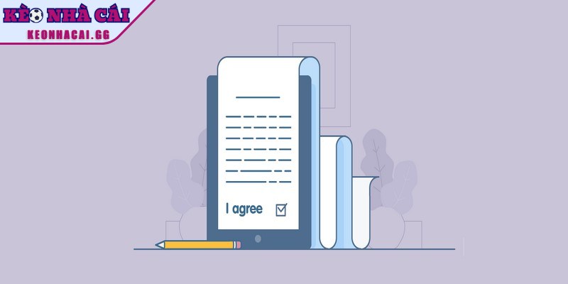 Giới hạn trách nhiệm theo điều khoản dịch vụ được nhấn mạnh