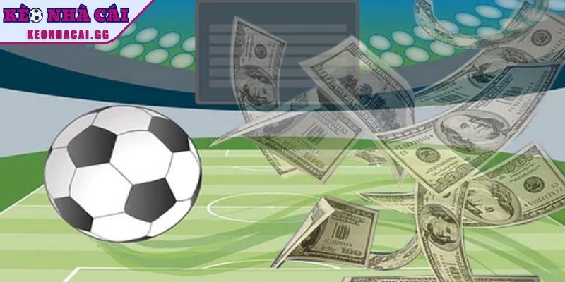 Quản lý vốn hiệu quả giúp bạn giảm rủi ro, duy trì lợi nhuận lâu dài