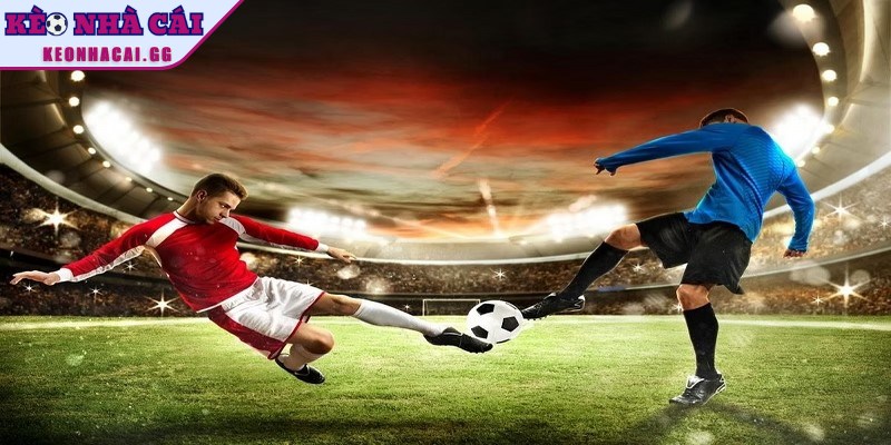 Lịch sử chạm trán giữa hai đội là công cụ hữu ích để dự đoán xu hướng