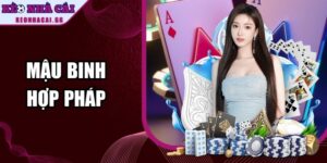 Mậu Binh Hợp Pháp