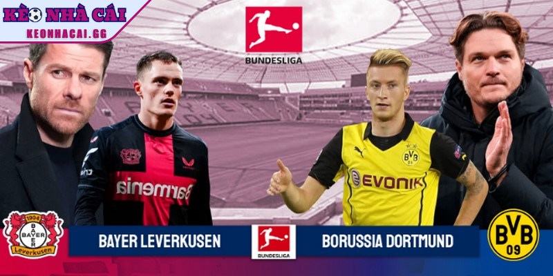 Lịch sử kết quả đối đầu của hai đội Dortmund vs Bayer Leverkusen