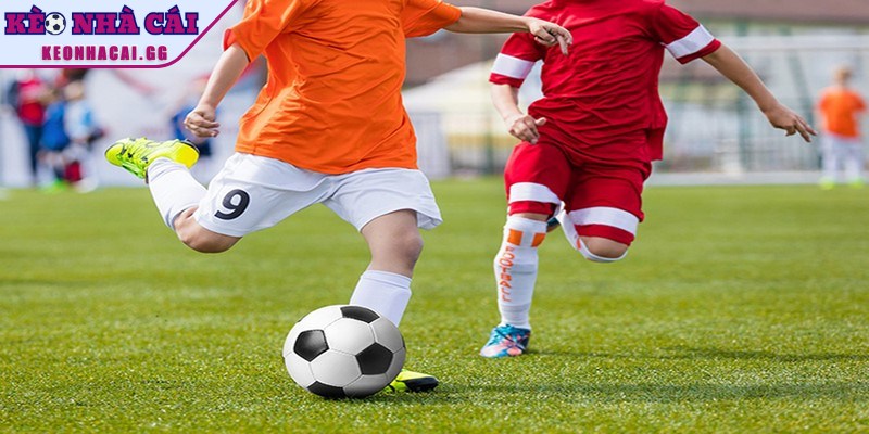 Về chúng tôi tự hào với những lợi thế vượt trội về chất lượng